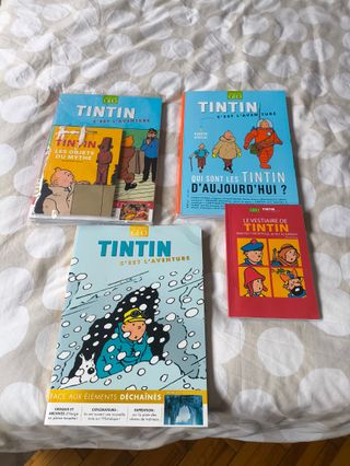 Mercadillo Tintin. Coleccionistas