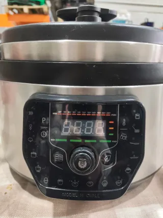 Olla Cecotec GM H Ovall 1000W 8L