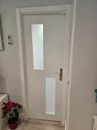 Puerta interior blanca con cristal