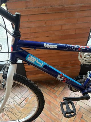 Bicicletas Montaña Azul y Blanca