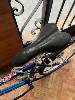 Bicicletas Montaña Azul y Blanca