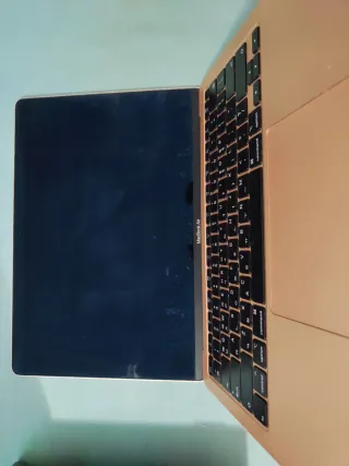 MacBook Air 13 A2179 oro