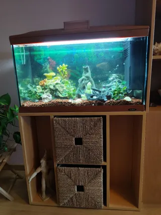 Acuario completo de 120 litros con acabado Cherry