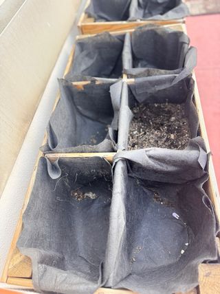 Mesa de cultivo elevada con ruedas