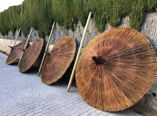Sombrillas y pérgolas de brezo