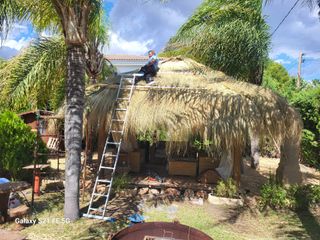 Sombrillas y pérgolas de brezo