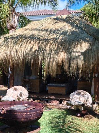 Sombrillas y pérgolas de brezo