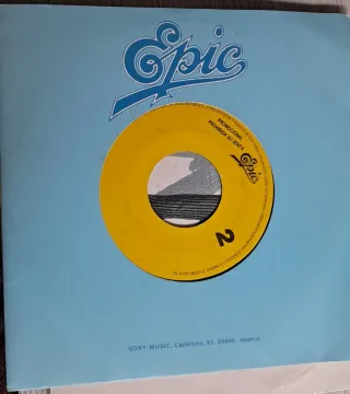 Vinilos. Cada vinilo 9 euros