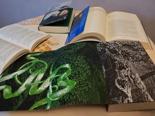 Pack económico 4x2 libros romance juvenil