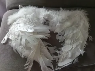 Disfraz Ángel Alas y Tutú Blanco