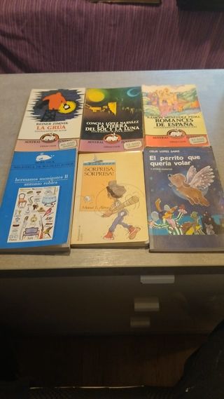 Libros niños. Precio por unidad. Envío por lotes.