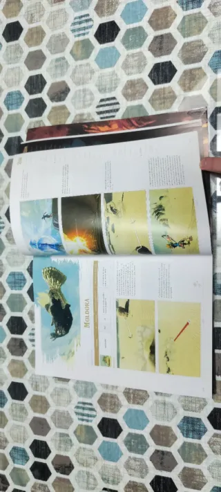 Guía Oficial Zelda Breath of the Wild