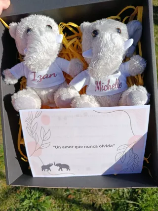 Pack Peluches Personalizados