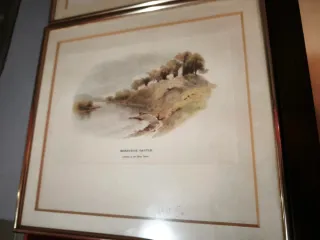 Lote 3 cuadros antiguos Anhalt-Köthen