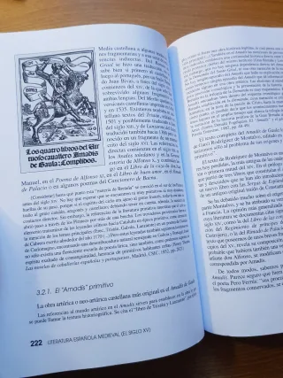 Literatura Española Medieval (El siglo XV)