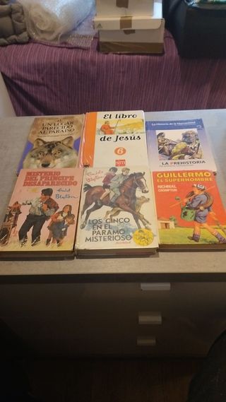 Libros niños. Precio por unidad. Envío por lotes.