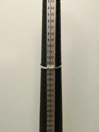 Anillo Plata 925 Delfín