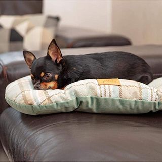 Ferplast Scott Coussin Rembourré Double-Face/Écoss