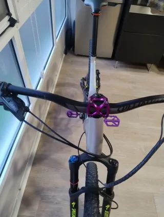 Ebike Specialized Turbo Levo fsr