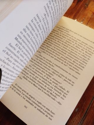 El alquimista (Spanish Edition)