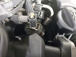 Citroen rectp5769778 motor completo 9h02 berlingo