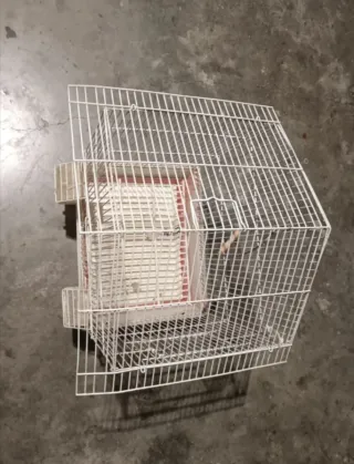 Jaula para pájaros blanca