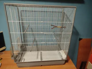 Jaula para Agapornis, Ninfas, Periquitos