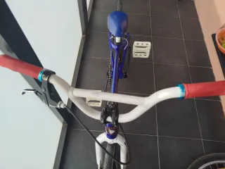 Bicicleta BMX Race SE RACING RIPPER JR