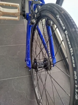 Bicicleta BMX Race SE RACING RIPPER JR