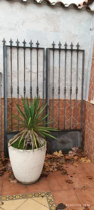 Rejas de hierro forjado