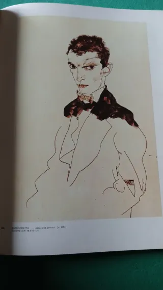 L'opera completa di Schiele ⚠️ NB leggi annuncio