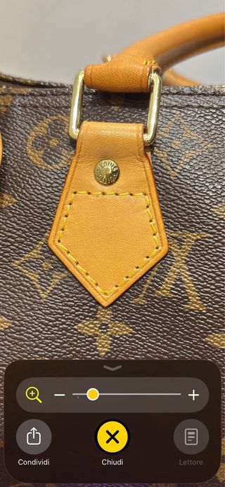 Louis Vuitton Speedy 30 Monogram