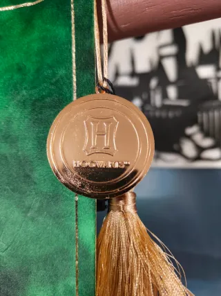 Stendardo Harry Potter Serpeverde