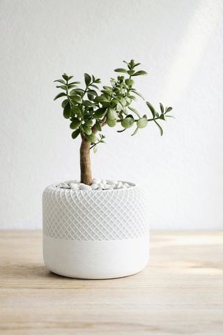 Vaso minimalista em PLA