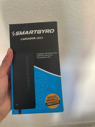 Patinete Eléctrico SmartGyro 48V