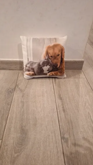 Cojín decorativo perro y gato 27x27