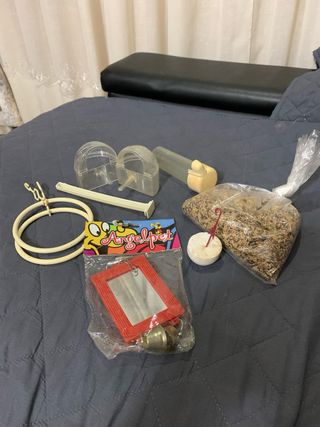 Accesorios para pajaro lo regalo