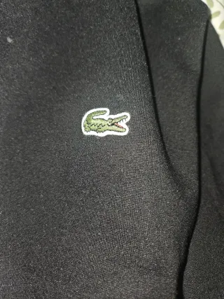 Chándal Lacoste Negro y Gris
