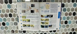 Guía Estrategia Oficial Final Fantasy X