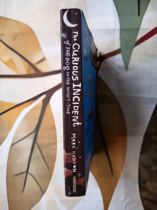 The Curious Incident of the Dog in the Night-Time