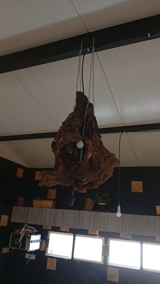 Resina Epoxi: Suelos, Mesas, Encimeras