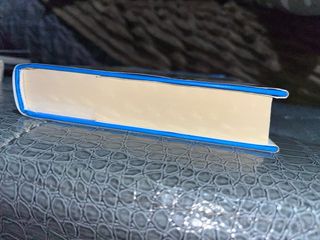 The kissing booth 2. Un amore a distanza