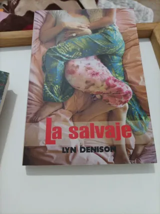 Novelas lésbicas