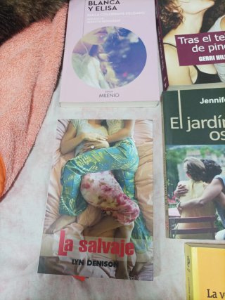 Novelas lésbicas