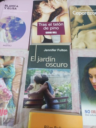 Novelas lésbicas
