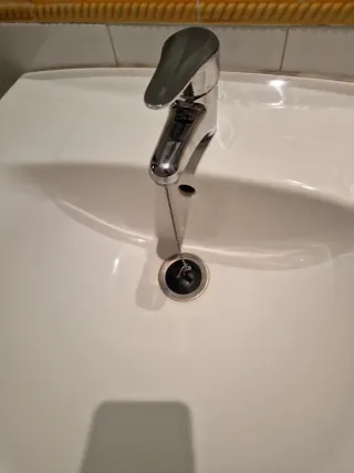 Lavabo con mueble de baño