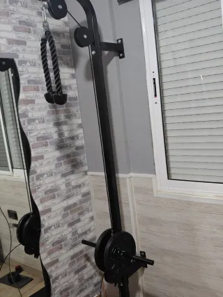 Polea superior e inferior musculación