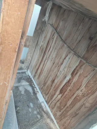 Pajarera de madera y malla