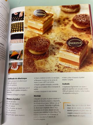 Elegir el flexipan. 90 recetas para el artesano.