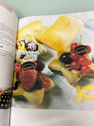Elegir el flexipan. 90 recetas para el artesano.